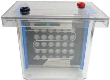 Western Blotting System (Rapid Mini Dual Wet Blot Apparatus) (Model: HVL-02)