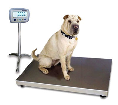 Animal Weighing Scale (Model No. HVO-CTG)