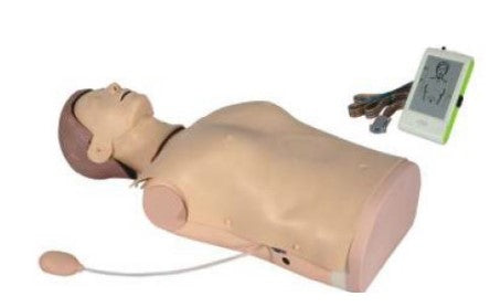 Advanced Half-Body CPR Training Manikin with Monitor (Model No: HV-CPR2000)