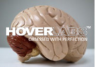 Human Brain- 4 Parts (Model No: HV-EM019)