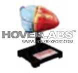 Human Heart Big Size (Model No: HV-EM022)