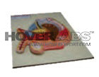 Human Reproductive Organs (Male) (Model No: HV-EM037)