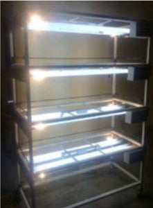 Tissue Culture Rack (Model: HVS – R153)