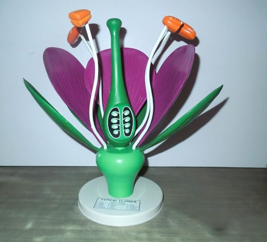 Typical Flower Model (Model: HV-288)