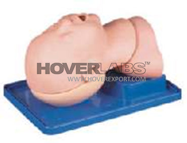 Infant Airway Management Model (Model: HV-J10)