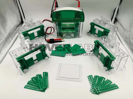 “HOVERLABS” VERTICAL ELECTROPHORESIS UNIT WITH ACCESSORIES (Model: HVS-VEP03)