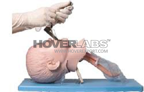 Child Tracheal Intubation Model (Model: HV-J16)