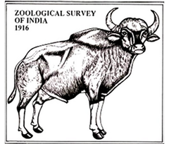 Zoological Survey of India