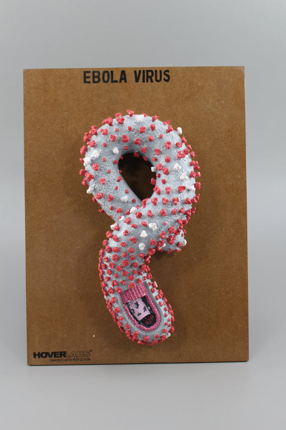 Ebola Virus Model (Model No. HV-M-EV)